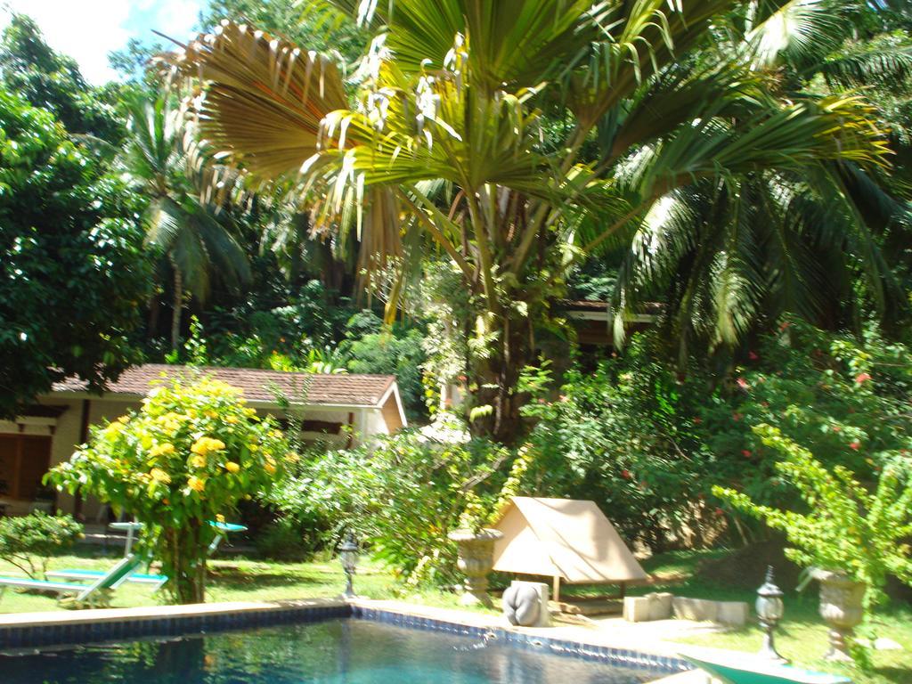 Cote Sud - Unique Villa & Bungalows Intendance Road ทาคามาคา ห้อง รูปภาพ