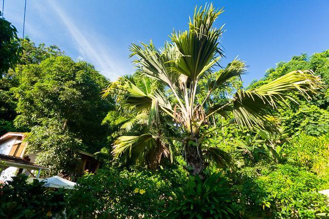 Cote Sud - Unique Villa & Bungalows Intendance Road ทาคามาคา ห้อง รูปภาพ