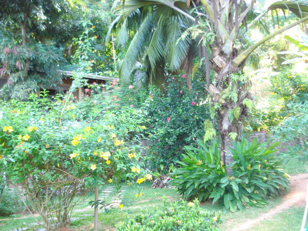 Cote Sud - Unique Villa & Bungalows Intendance Road ทาคามาคา ห้อง รูปภาพ