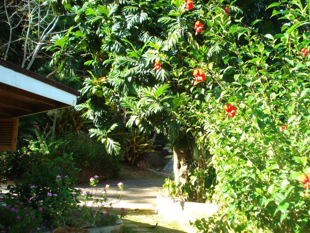 Cote Sud - Unique Villa & Bungalows Intendance Road ทาคามาคา ห้อง รูปภาพ